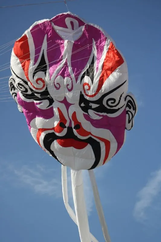 Les cerfs-volants en vol — image 5