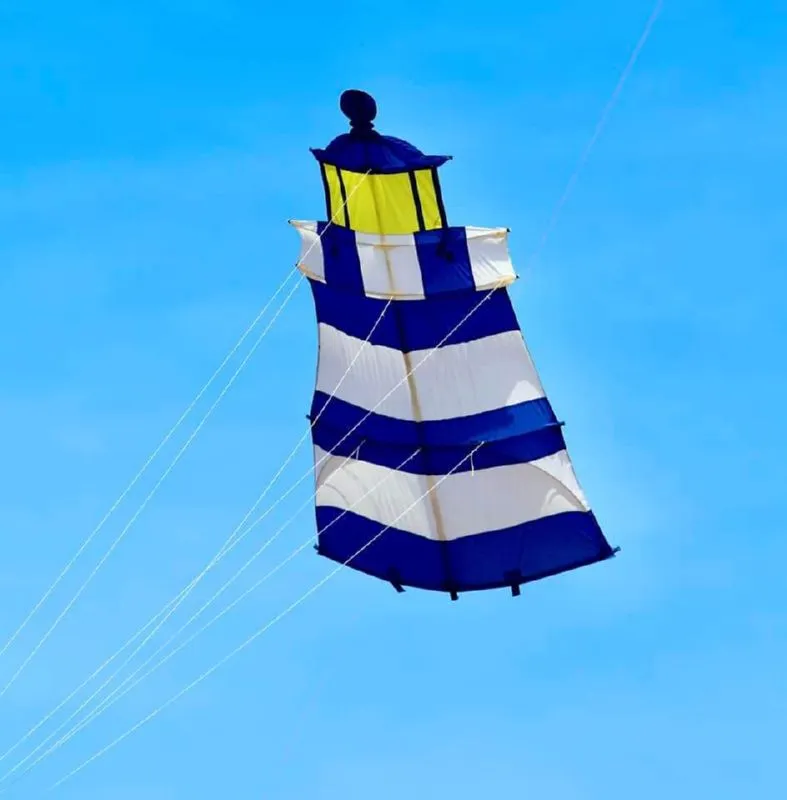Les cerfs-volants en vol — image 7