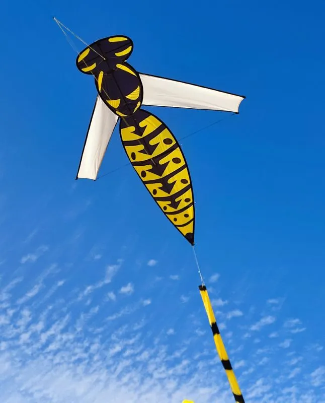 Les cerfs-volants en vol — image 16