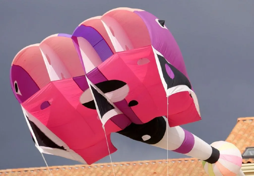 Les cerfs-volants en vol — image 30