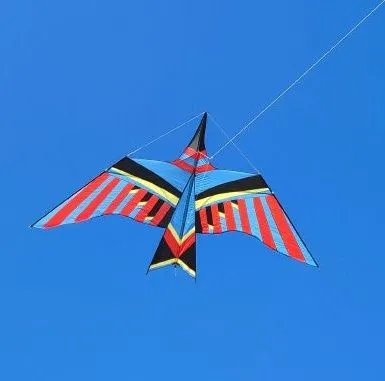 Les cerfs-volants en vol — image 31